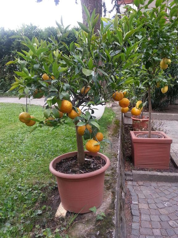Jasmin 3* Merano